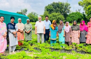 पौधारोपण अभियान में नई ऊर्जा, वन मंत्री Lal Chand Kataruchak की भागीदारी से अभियान को मिली रफ्तार