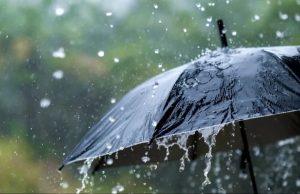 यूपी और केरल में भारी बारिश की चेतावनी, दिल्ली वासियों को करना होगा इंतजार, जानें अपने राज्य में मौसम का हाल