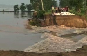 भारी बारिश के कारण पंजाब के 6 जिलों में बाढ़: सतलुज-रावी उफान पर, पौंग डैम का जलस्तर खतरे से ऊपर