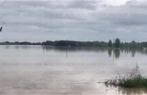 बारिश से मची हाहाकार, पंजाब के इस इलाके में अचानक आया पानी, लोगों ने छोड़े घर