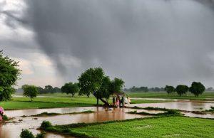 Punjab में आज हल्की से मध्यम बारिश की संभावना, पहाड़ों में बारिश के चलते पौंग डैम से छोड़ा जाएगा पानी
