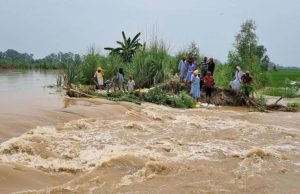 पंजाब में बाढ़ से निपटने के लिए एक्शन मोड में मान सरकार, मंत्री आज करेंगे प्रभावित इलाकों का दौरा