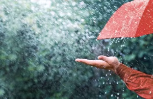 Weather Update: दिल्ली सहित कई राज्यों में बारिश का दौर जारी, जानें अन्य राज्यों के मौसम का हाल