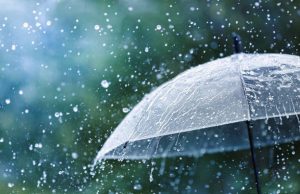 Weather Update : Punjab में फिर बरसेंगे बादल… इन 16 जिलों में बारिश के आसार; जानिए मौसम का हाल