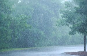 Weather Update : पंजाब में फिर बरसेंगे बादल, कई जिलों में भारी बारिश का अलर्ट