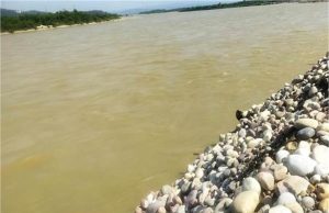 पंजाब में जोरदार बारिश, ब्यास दरिया के आस-पास रहते लोगों और किसानों की फिर उड़ी नींद