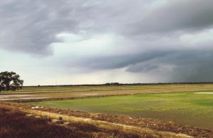 Punjab में अगले 7 दिनों तक ऐसा रहेगा मौसम, IMD ने दी जानकारी