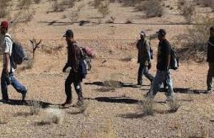 Punjab Police के पूर्व अफसर का बेटा नौ महीने से मैक्सिकों के जंगलों में बना बंधक, डंकी रूट से जा रहा था अमेरिका