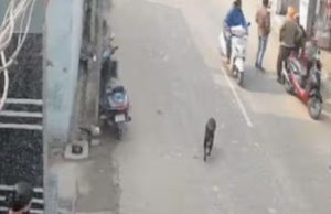 Punjab में लगातार बढ़ रही गुंडागर्दी, अब इस इलाके में हुई अंधाधुंध फायरिंग, मची अफरा-तफरी