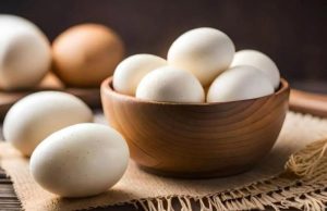 सर्दियों में अंडों की मांग बढ़ी, थोक में इतने रुपये तक बढ़े दाम