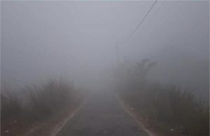 Punjab Weather: बर्फीली ठंड से कांपा पंजाब, तेजी से गिर रहा पारा, बठिंडा सबसे ठंडा
