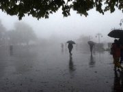 Punjab Weather Update: पंजाब में अगले 3 दिन घना कोहरा, IMD ने जारी की बारिश की चेतावनी