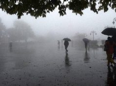 Punjab Weather Update: पंजाब में अगले 3 दिन घना कोहरा, IMD ने जारी की बारिश की चेतावनी