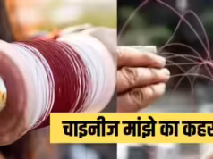 Punjab में बढ़ा चाइनीज मांझे का कहर: स्कूटी सवार महिला का कटा गला, तड़प-तड़प कर हुई मौत