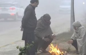 Punjab में बढ़ा सर्दी का कहर, लोहड़ी तक घना कोहरा और कोल्ड वेव का अलर्ट