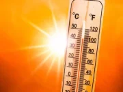 Punjab Weather: विदाई की ओर बढ़ रही सर्दी, पंजाब में बढ़ने लगा तापमान, पढ़ें लेटेस्ट Update