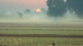 Punjab Weather: पंजाब में बदलेगा मौसम, 2 दिन बारिश के आसार; फरवरी में पहली बार तापमान 29°C