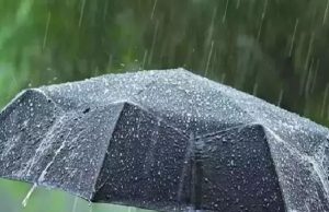 Weather Update : 16 फरवरी से बदलेगा Punjab का मौसम, हल्की बारिश के आसार