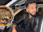 सांप के जहर मामले में यूट्यूबर एल्विश यादव को बड़ी राहत, Supreme Court ने खत्म किया केस