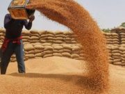 Punjab Government का बड़ा फैसला: 3.34 लाख परिवारों को जल्द मिलेगा बड़ा फायदा