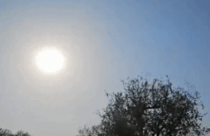 Punjab-Chandigarh में आज मौसम ड्राई रहेगा: सुबह-शाम ठंड बढ़ी, तापमान सामान्य से नीचे