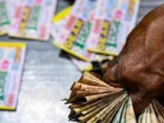 Punjab: लॉटरी में 3 करोड़ जीतने वाला शख्स ‘लापता’, अभी तक किसी ने नहीं किया क्लेम