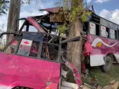 Phagwara :बेकाबू होकर पेड़ से टकराई, 12 यात्री घायल; मुकंदपुर से फगवाड़ा जा रही थी