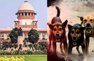 Supreme Court ने Dog Lovers की सभी याचिकाएं की खारिज, रेबीज और गंभीर कुत्तों को मारने के दिये निर्देश