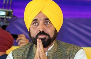 Punjab निकाय चुनाव में दिखा AAP का जादू! 2027 इलेक्शन से पहले जनता ने लगाई मान सरकार पर मुहर
