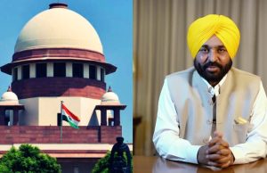 Supreme Court के निर्देश के बाद Action में पंजाब सरकार, आवारा कुत्तों पर होगी कार्रवाई