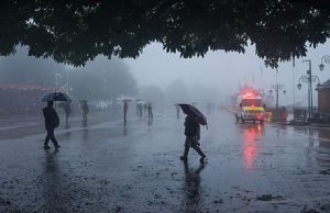 पंजाब में मौसम का बड़ा अलर्ट: कई ज़िलों में भारी बारिश और तेज़ हवाओं की चेतावनी, पढ़ें IMD की लेटेस्ट Update