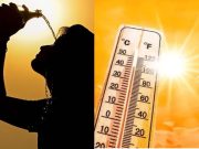 Summer Health Tips: गर्मी में दिनभर धूप में करते हैं काम? इन स्मार्ट टिप्स से रखें खुद का ख्याल