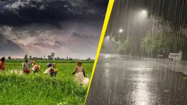 17_07_2025-farmer_rain_23986335_m (1)