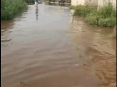 Jalandhar में Overflow होने से नहर का बांध टूटा: कॉलोनियों में पानी भरा, बोरियों की मदद से मरम्मत