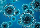 Punjab Health Ministry on alert as human metapneumovirus cases reported in India