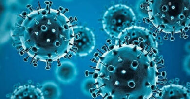 Punjab Health Ministry on alert as human metapneumovirus cases reported in India