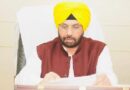 4151 jobs provided by PSPCL and PSTCL since April 2022 – Harbhajan Singh ETO