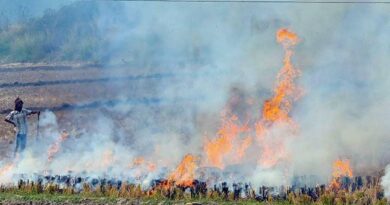 Supreme Court seeks response from Punjab, Haryana on hike in stubble burning cases