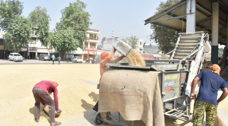 Centre steps in as Punjab faces procurement crisis, Meeting with rice mill owners called