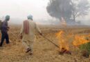 Stubble burning: Supreme Court pulls up Air Quality Commission