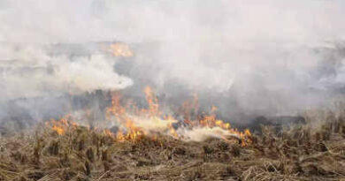 Flying squads deployed in Punjab and Haryana to check stubble burning