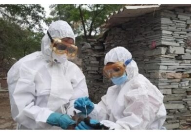 Bird flu outbreaks in Kerala’s Alappuzha