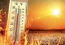 Heat wave alert issued in Punjab on 16 and 17; advisory issued