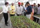 Horticulture Minister emphasizes the need to make Punjab’s potato seeds a recognized brand