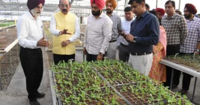 Horticulture Minister emphasizes the need to make Punjab’s potato seeds a recognized brand