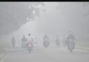 Air pollution: Schools closed up to Class XII in 11 districts of Haryana