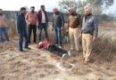 Three Jaggu Bhagwanpuria gang associates arrested after encounter in Jalandhar