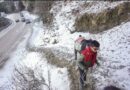 Cold wave grips northern region after snowfall in Himachal Pradesh