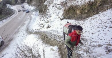 Cold wave grips northern region after snowfall in Himachal Pradesh