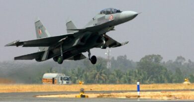 IAF needs 35-40 fighter jets annually to replace aging fleet: Air Chief